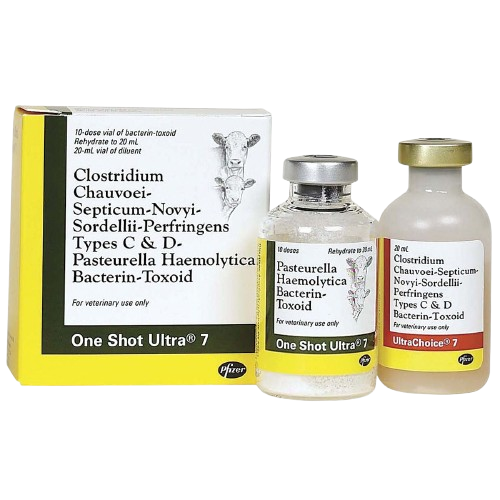 DHLPP Vaccine